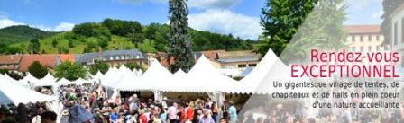 Bourse aux minéraux de Sainte Marie aux Mines.