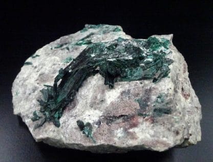 Brochantite, Milpillas mine, Cananea, Sonora, Mexique.