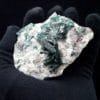 Brochantite, Milpillas mine, Cananea, Sonora, Mexique.