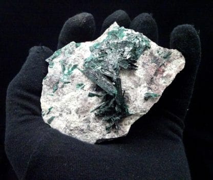 Brochantite, Milpillas mine, Cananea, Sonora, Mexique.