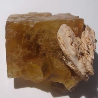 Fluorine jaune orangé et Barytine, Lantignié, Rhône.