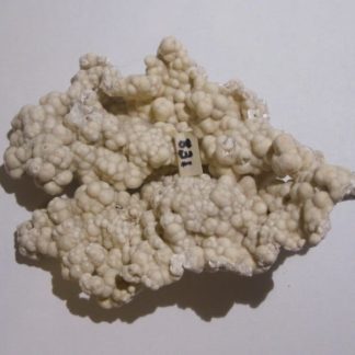 Picropharmacolite, mine de Salsigne, Aude.