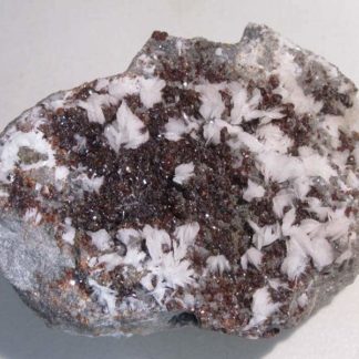 Sphalérite rouge et Baryte, Les Malines, Saint-Laurent-le-Minier, Gard.