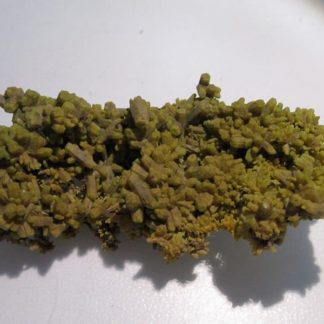 Pyromorphite flottante des Farges, Ussel, Corrèze.