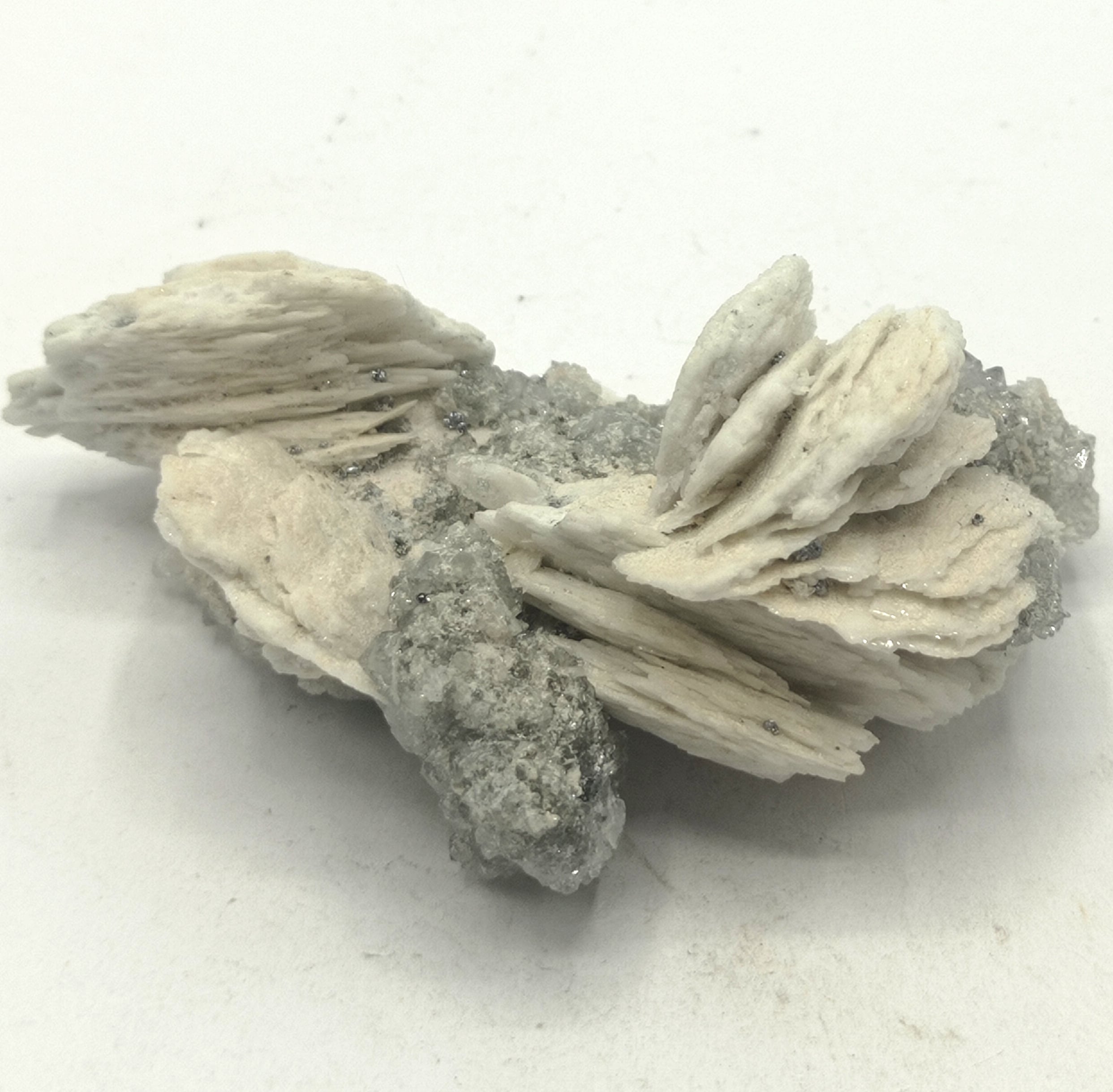 Barytine et quartz de la mine de Mercoirol, Laval-Pradel, Gard.