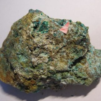 Chalcopyrite, Salsigne, Mas Cabardès, Carcassonne, Aude.