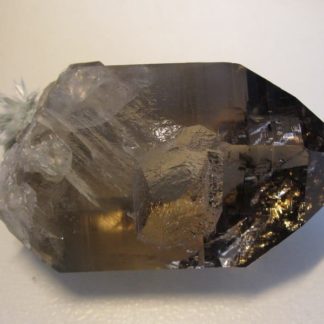 Quartz fumé, Glacier de Miage, Val Veny, Val d'Aoste, Italie.
