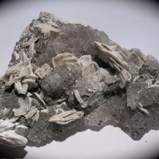 Baryte sur fluorine, mine de Voltennes, Saône-et-Loire, Morvan.