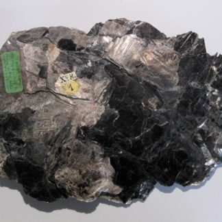 Biotite, Le Mas Barbu, Bessines-sur-Gartempe, Haute-Vienne, Limousin.