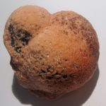 Mangano baryte, Grübe Hilfe Gottes, Bad Grund, Allemagne.