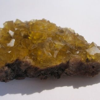 Fluorine jaune, Le Bois Clair, Sologny, Saône-et-Loire.