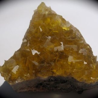 Fluorine jaune, Le Bois Clair, Sologny, Saône-et-Loire.