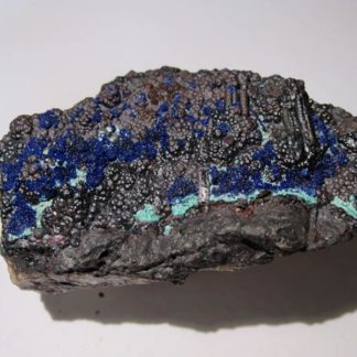 Azurite sur goethite de la mine de Montroc (Mont-Roc), Tarn.