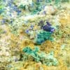 Azurite et conichalcite, Hubac de Jourdan, Alpes-Maritimes.