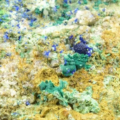 Azurite et conichalcite, Hubac de Jourdan, Alpes-Maritimes.