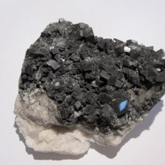 Dolomite de Mercoirol, Laval-Pradel, Gard.