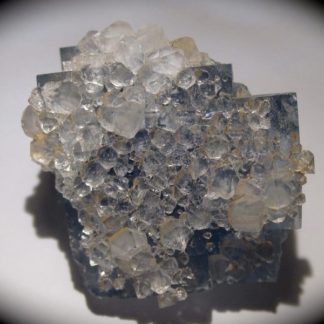 Cristaux de quartz sur fluorine bleue, Embournegade, Tarn.