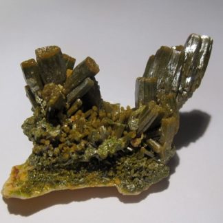 Cristaux de Pyromorphite verts avec des terminaisons jaunes des Farges.