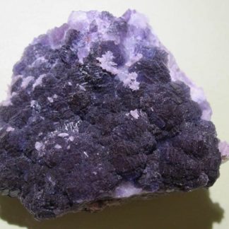 Fluorine violette, Fontsante, Var.