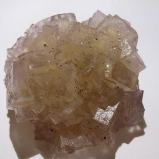 Fluorine jaune et violette, Fontsante, Var.