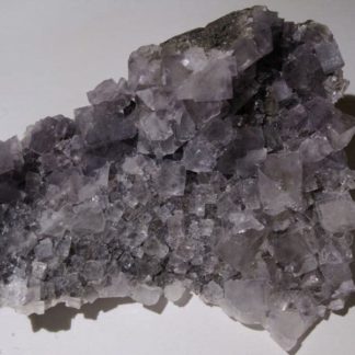 Fluorine violette de Durfort, Gard.