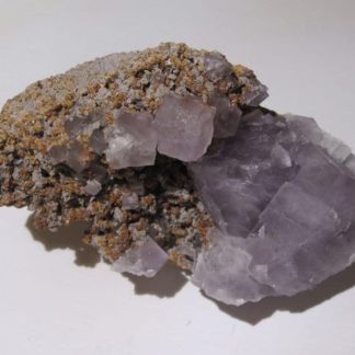 Fluorine violette de Durfort, Gard.