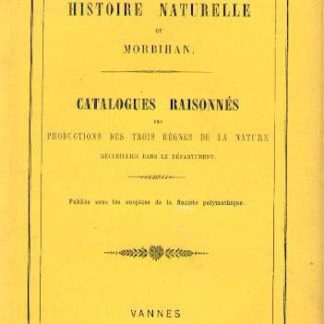 Traité des minéraux du département du Morbihan [livre]