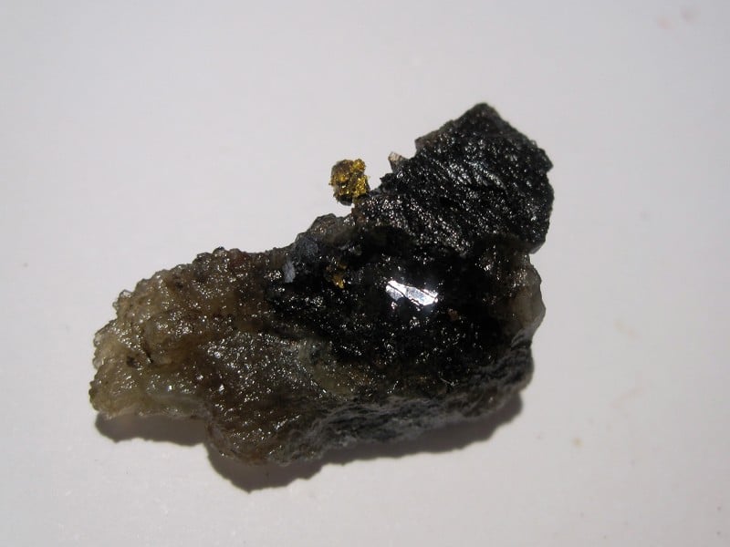Or natif dans quartz fumé, mine de La Gardette en Oisans, Isère.