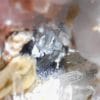 Cannizzarite, sidérite, tétraédrite, La Mure, Isère.