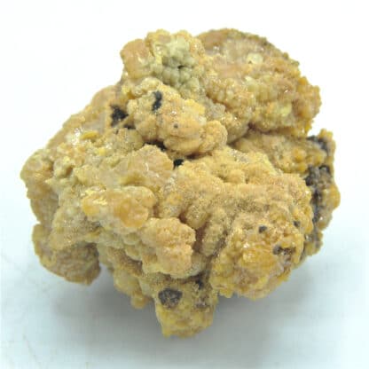 Pyromorphite blanche, Les Farges, Ussel, Corrèze, Limousin.