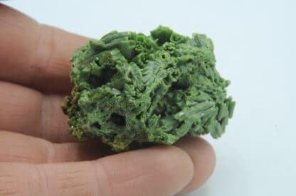 Pyromorphite brillante, Les Farges, Ussel, Corrèze, Limousin.