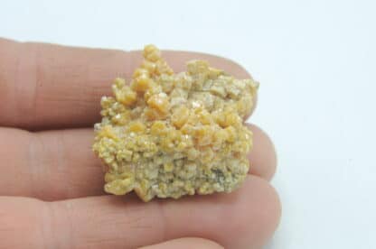 Pyromorphite jaune, Les Farges, Ussel, Corrèze, Limousin.