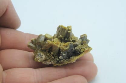 Pyromorphite verte, Les Farges, Ussel, Corrèze, Limousin.