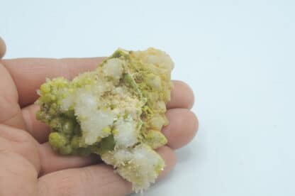 Pyromorphite et Quartz sceptre, Lafont-en-Poule, Rhône.