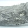 Dolomite sur Sphalérite (blende), mine de Trèves, Gard.