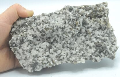 Dolomite sur Sphalérite (blende), mine de Trèves, Gard.