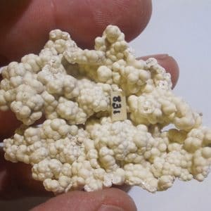 Picropharmacolite, mine de Salsigne, Aude.