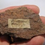 Hématite, mine de Framont, Haute-Saône.