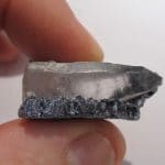 Cristaux de Molybdénite sur cristal de Quartz, Milpillas, Cananea, Mexique.