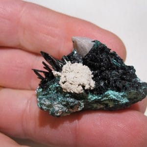 Brochantite, mine de Milpillas, Cananea, Sonora, Mexique.