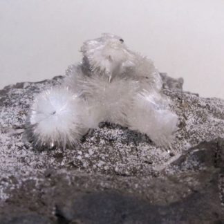 Natrolite (minéral)