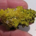 Pyromorphite verte, mine de Chaillac, Indre, France.