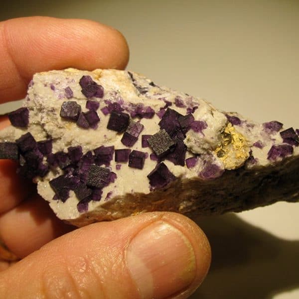 Fluorine violette, Cerclier près de Néris-les-Bains, Allier.
