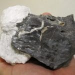 Barytine"pompon" sur blende, Les Malines, Saint-Laurent-le-Minier, Gard.