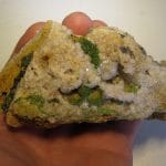 Pyromorphite, La Pierre de Neuvic, Neuvic-Entier, Haute-Vienne, Limousin.