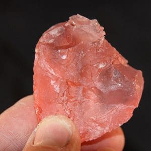 Fluorine rose, Aiguille Verte, massif du Mont-Blanc, Haute-Savoie.