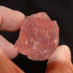 Fluorine rose, L'Aiguille Verte, Chamonix, Haute-Savoie.