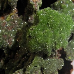 Pyromorphite verte sur baryte avec oxydes de fer, Les Farges, Corrèze.