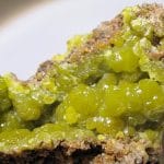 Pyromorphite, La Vidale, Asprières, Aveyron.