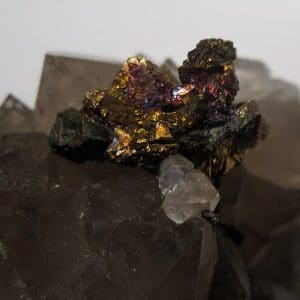 Chalcopyrite sur Quartz, Laguépie, Tarn-et-Garonne.